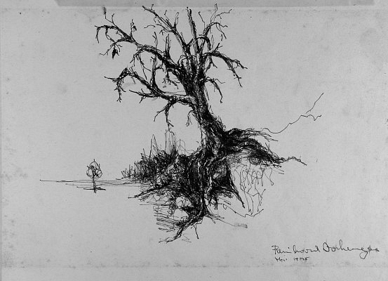 Baum.jpg
