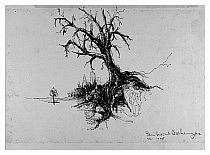 Baum.jpg