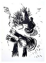 Drachenfliege.jpg