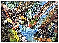 Pohutukawa.jpg