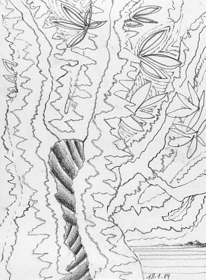 2004_01_18_1.JPG