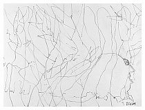 2004-01-25-e.jpg