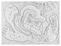 2004-01-27-b.jpg