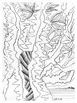 2004_01_18_1.jpg
