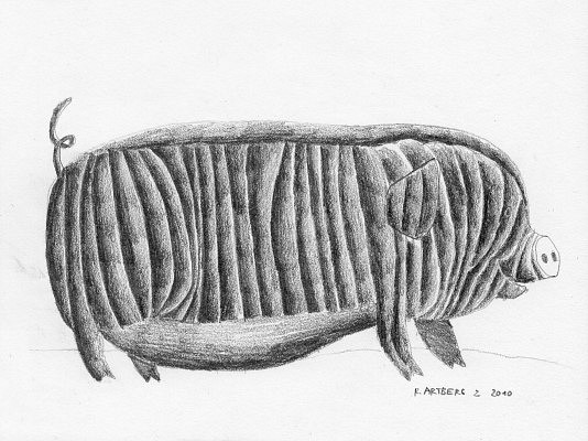 Schwein.jpg
