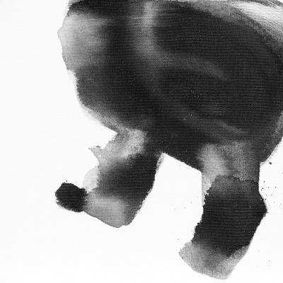 PA295217.jpg