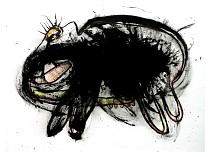 pig-dog.jpg